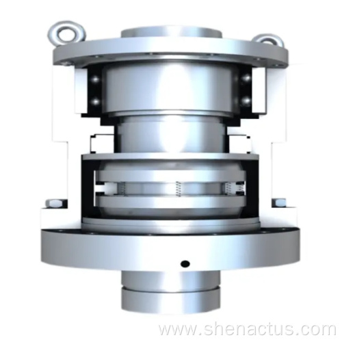 Customized Double Balanced Mechanical Seal For Agitator